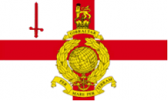 Royal Marines Reserve London Flags